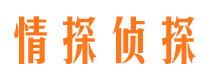 浈江市侦探公司